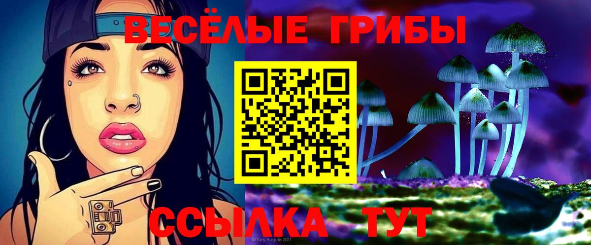 Галлюциногенные грибы Psilocybine cubensis Киселёвск
